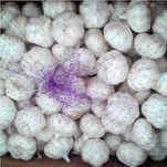 „Premium Loose Pack“ česnakai