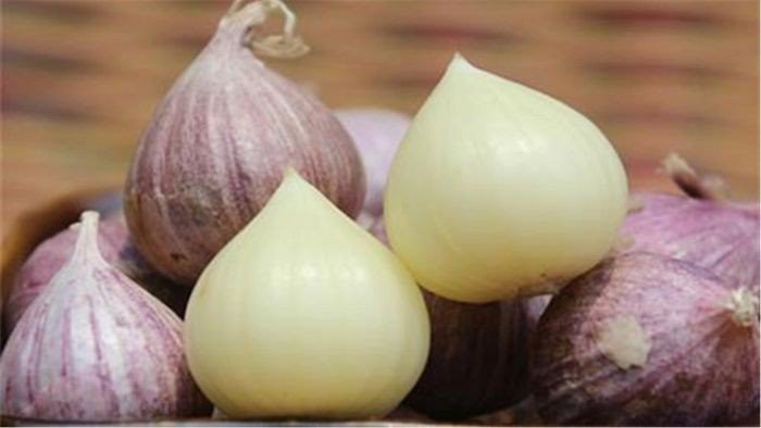 fresh solo garlic(001)
