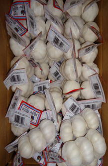 Kinijos česnakų importo prekybos įtakos Ekvadoro česnakų rinkai tyrimas